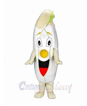 Chicory Salad Mascot Costume