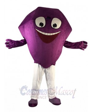 Purple Diamond Mascot Costume Cartoon