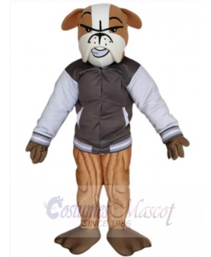 Brown Bulldog Mascot Costume Animal in Jacket