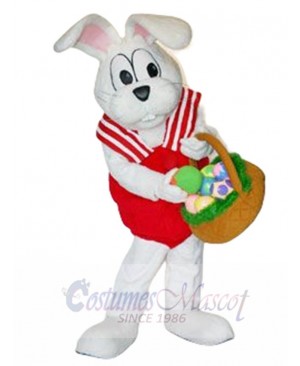 Peter Cottontail Rabbit Mascot Costume Cartoon
