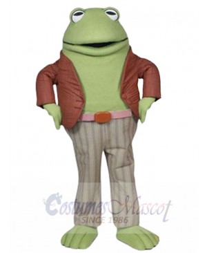 Green Frog Mascot Costume Frog and Toad Cartoon