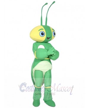 The Manty Mantis Mascot Costume Insect
