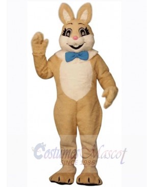 Smiling Brown Easter Bunny Mascot Costume Animal