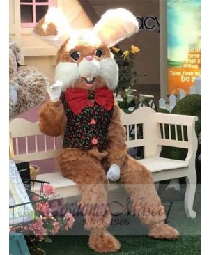 Brown Furry Easter Bunny Mascot Costume Animal