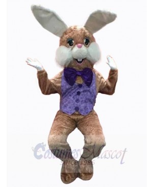 Friendly Brown Easter Bunny Mascot Costume Animal