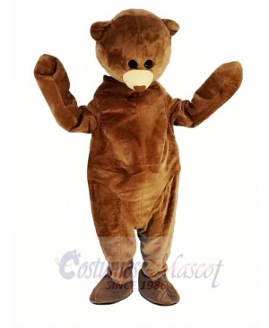 Brown Teddy Bear Mascot Costume