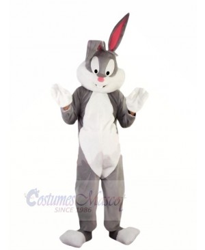 Hot Professional Easter Bunny Mascot Costumes Cheap