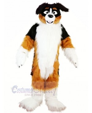 Hot Sale Furry Dog Husky Mascot Costumes Cartoon