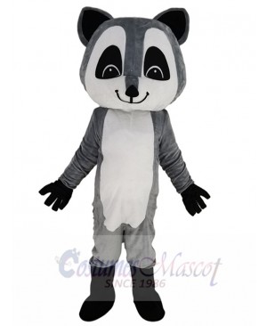 Friendly Gray Raccoon Mascot Costume Animal