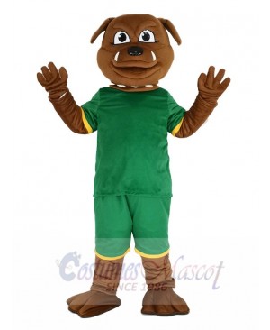 Brown Bulldog in Green Sweatshirt Mascot Costume