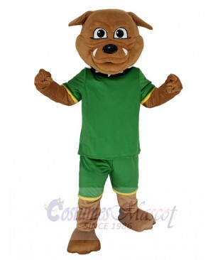 Brown Bulldog in Green Sweatshirt Mascot Costume Animal