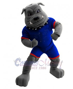 Bulldog Mascot Costume in Royal Blue Jersey Animal