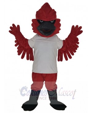 Cardinal Bird in White T-shirt Mascot Costume