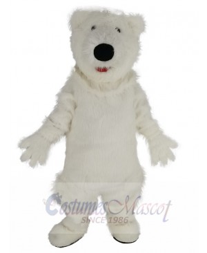 Cute Giant Fat Polar Bear Mascot Costume Animal