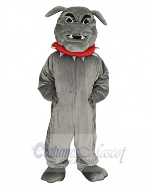 Gray Bulldog with Red Collar Mascot Costume