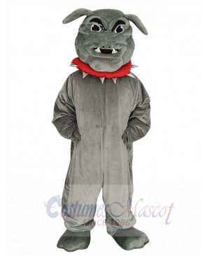 Gray Bulldog with Red Collar Mascot Costume
