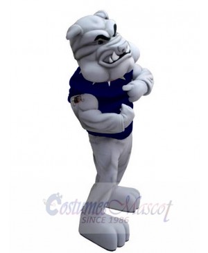Bulldog in Dark Blue Vest Mascot Costume