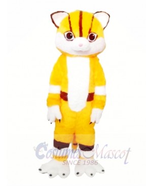 Tiger Mascot costumes 