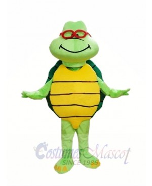 Cheap Green Turtle Custom Mascot Costumes 