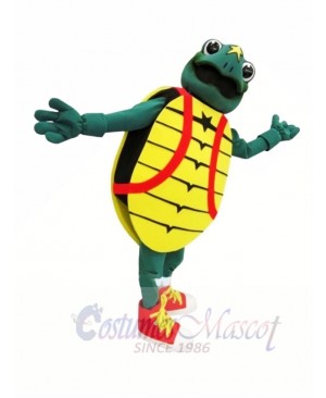 Childrens Hosp Turtle Mascot Costumes 