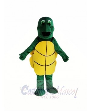 Little Green Tortoise Mascot Costumes 
