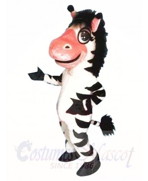 Cute Zebra Mascot Costumes 