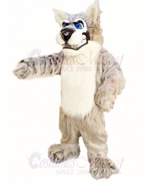 Alpha Wolf Mascot Costumes 