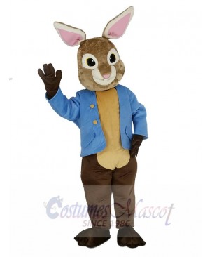 Brown and Gray Peter Rabbit Mascot Costume