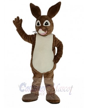 Brown Peter Rabbit Mascot Costume Cartoon