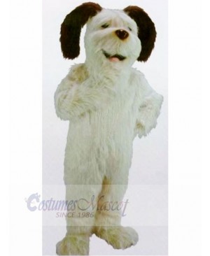 Funny White Shaggy Dog Mascot Costumes Cartoon