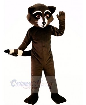 Wild Black Racoon Mascot Costumes Cartoon