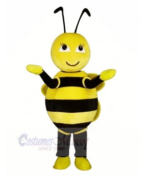 Cute Little Yellow Bee Mascot Costumes Cartoon