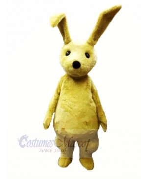 Young Rabbit with Long Ears Mascot Costumes Cartoon