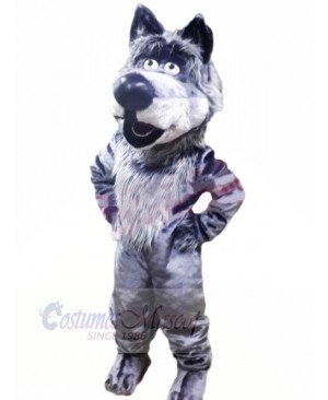 Friendly Wolf Mascot Costumes Cartoon	
