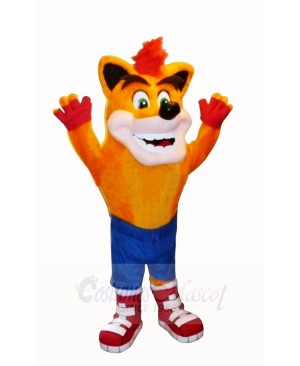 Crash Bandicoot Wolf Mascot Costume School