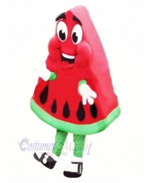 High Quality Watermelon Mascot Costume Cartoon