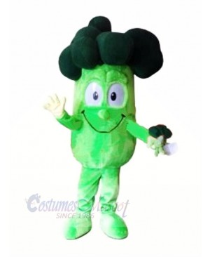 High Quality Brocolli Mascot Costume Cartoon