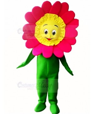 High Quality Sunflower Mascot Costume Cartoon	