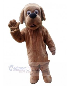 Adorable Brown Dog Mascot Costume Animal