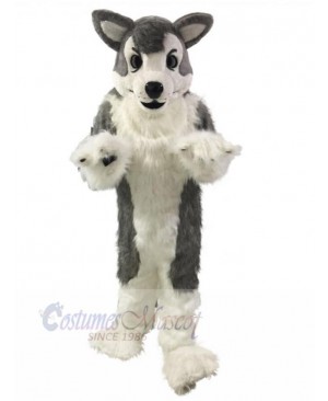 Long Hair Gray Wolf Husky Dog Mascot Costume Animal