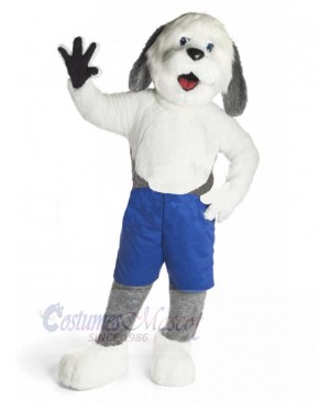 Sheepdog Dog Mascot Costume Animal in Blue Pants