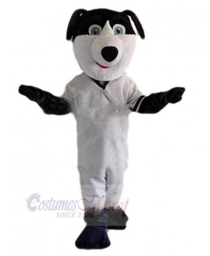 Black and White Dog Mascot Costume Animal with Blue Eyes