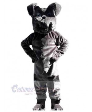 Strong Gray Dog Mascot Costume Animal