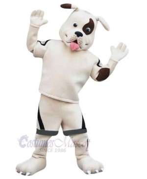 Pirate White Dog Mascot Costume Animal