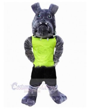 Grey American Bulldog Mascot Costume Animal in Green Vest