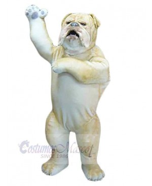 Wild Bulldog Mascot Costume Animal Adult