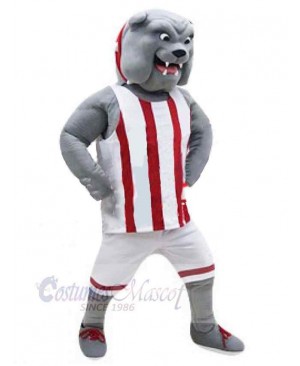 Muscle Gray Bulldog Mascot Costume Animal