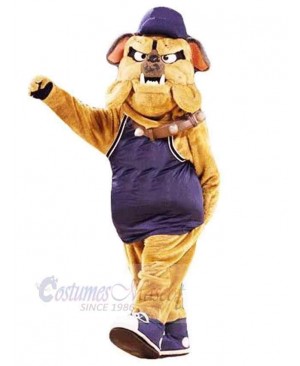 Brown Bulldog Mascot Costume Animal with Blue Hat