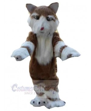 Funny Husky Dog Long Fur Mascot Costume Animal