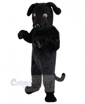 Top Quality Black Dog Mascot Costume Animal